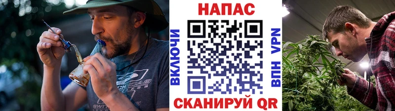 МЕГА как зайти  купить наркоту  Петров Вал  Марихуана тримм 